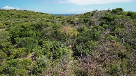vista de pájaro para el mar después de la colina