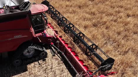 adentrarse en el mundo de las máquinas de vanguardia durante una operación de cosecha de canola a gran escala