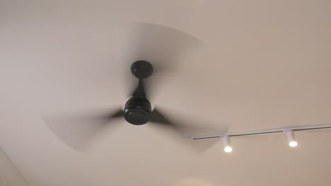 black ceiling fan with track lighting