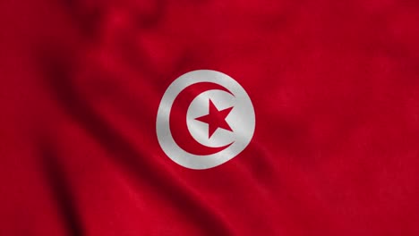 a beautiful view of tunisia flag video. frontal view of tunisia national flag