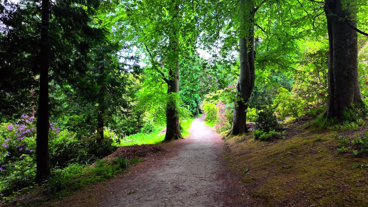 Powerscourt Gardens trail trough the woodland area beautiful vistas and colours in Wicklow Ireland Epic locations