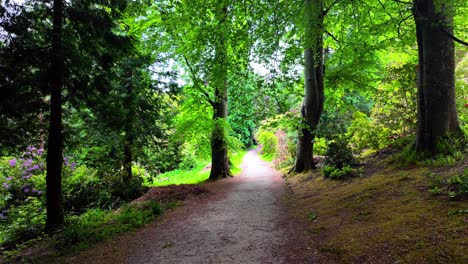 el sendero de los jardines de powerscourt a través de la zona boscosa hermosas vistas y colores en wicklow irlanda lugares épicos