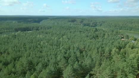 Slow-Aerial-fly-over-a-dense-green-leafy-deciduous-forest-of-Kowalskie-Blota-,-Poland,-forward-motion,-drone-shot,-beautiful-cloudscape,-can-see-Okierskie-lake