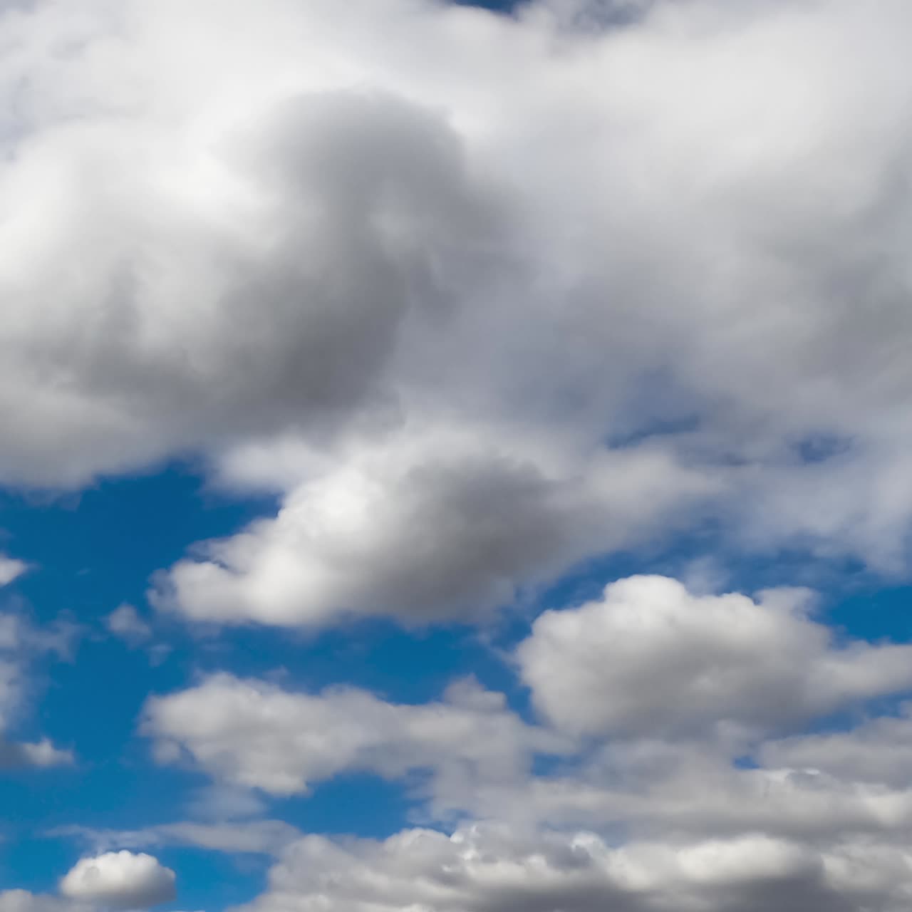 White thick clouds flying quickly by the skies. Rainy clouds formation in the atmosphere. Low angle view. Timelapse