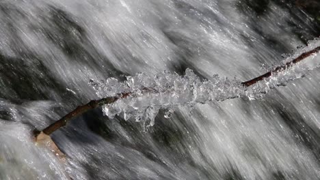 an ice covered branch by a small waterfall