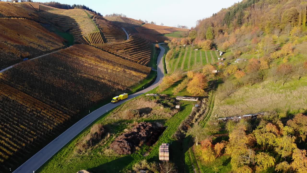 Un camion con rimorchio attraversa vigneti che risplendono con i colori autunnali.