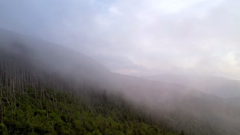 블루 릿지 산맥의 애팔래치아 산맥 경사면에 안개