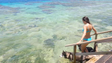 young woman in a bikini going to swim with 2 dog in a tropical sea, honduras, utila