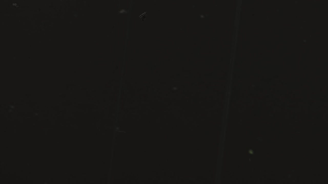 Vintage Film Grain Overlay with Dust and Scratches