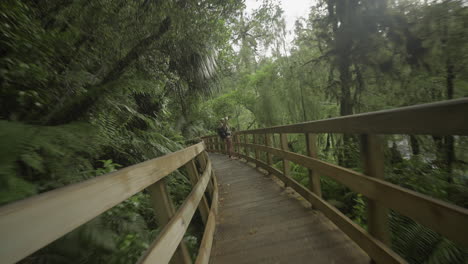 female photographer taking pictures of native plants on wooden boardwalk