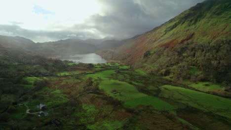 Antenne-Nach-Vorne-über-Grüne-Ufer-Des-Llyn-Gwynant-In-Snowdonia,-Wales-In-Großbritannien