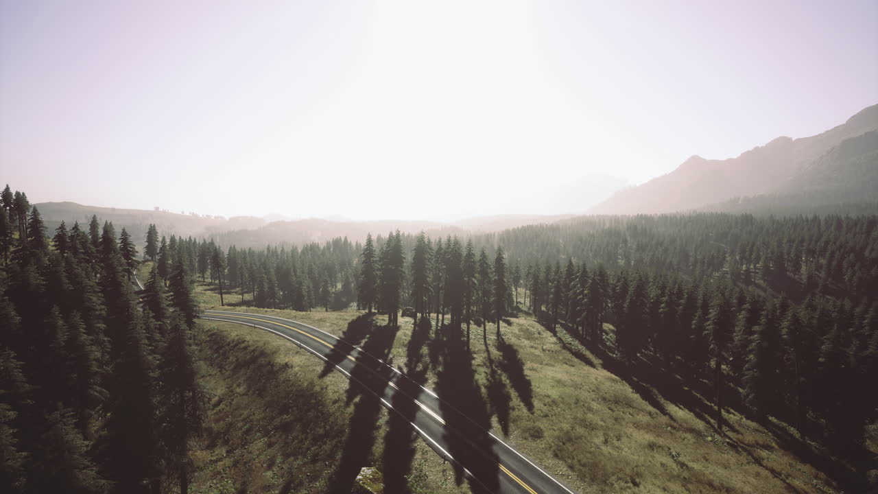 Rolling hills and winding roads bask in the bright morning sun