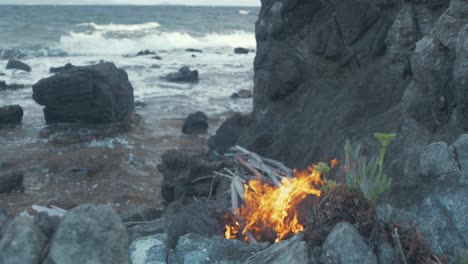 fuego junto al mar costero en cámara lenta amplio plano 4k