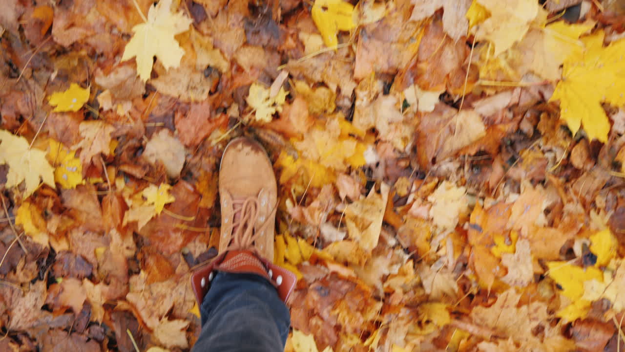 una mujer camina sobre hojas de arce caídas, solo las piernas son visibles en el marco