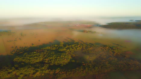 Early-morning-mist,-grasslands,-rainforest-and-pine-trees-just-after-sunrise