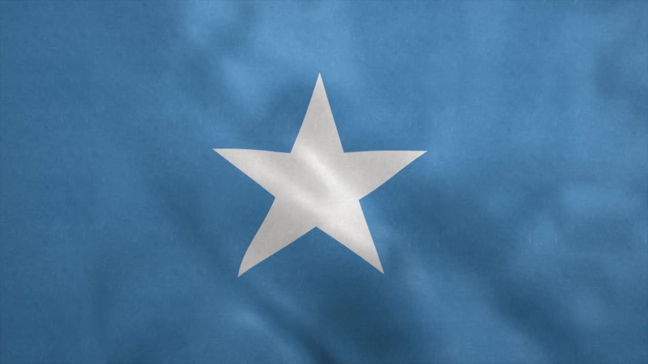 bandera nacional de somalia soplando en el viento. bucle sin costuras