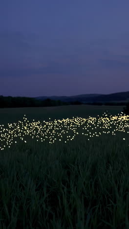 fireflies in a field at night