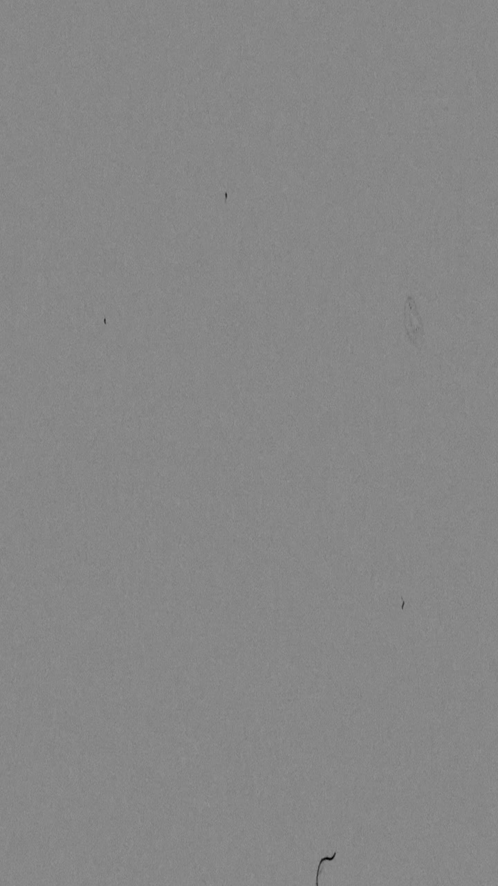Vintage Film Grain Overlay with Scratches and Dust