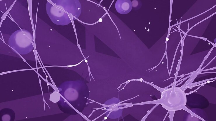Pulling back view revealing neural net soma at center, highlighting beads moving along branches
