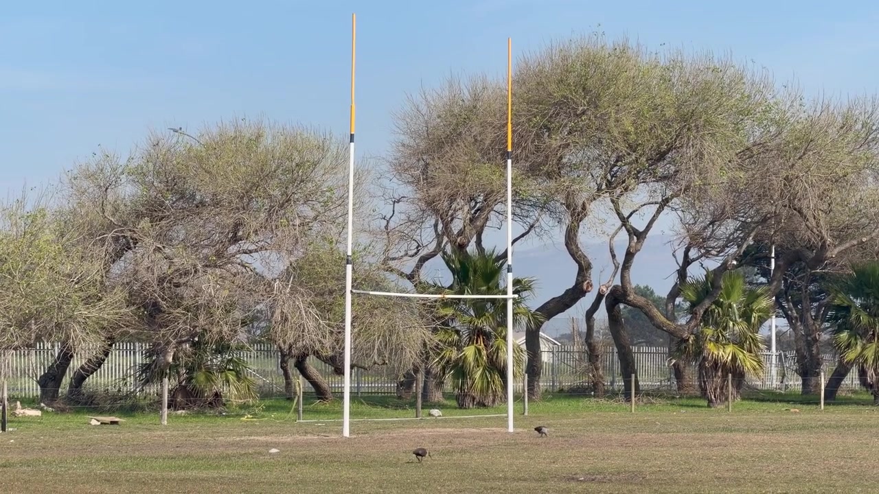 A rugby goal post on a rugby field at an amateur rugby club in Cape Town.
