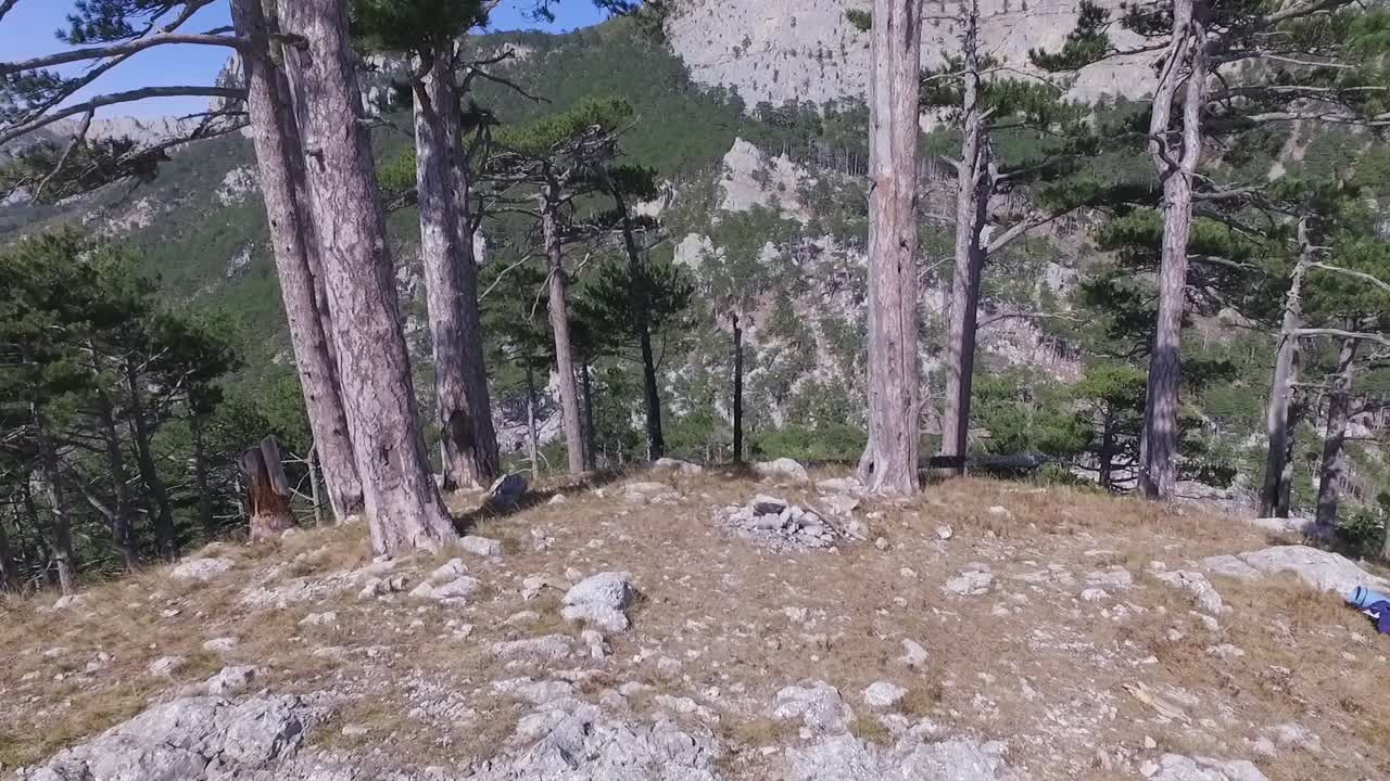 punto de vista del bosque de montaña