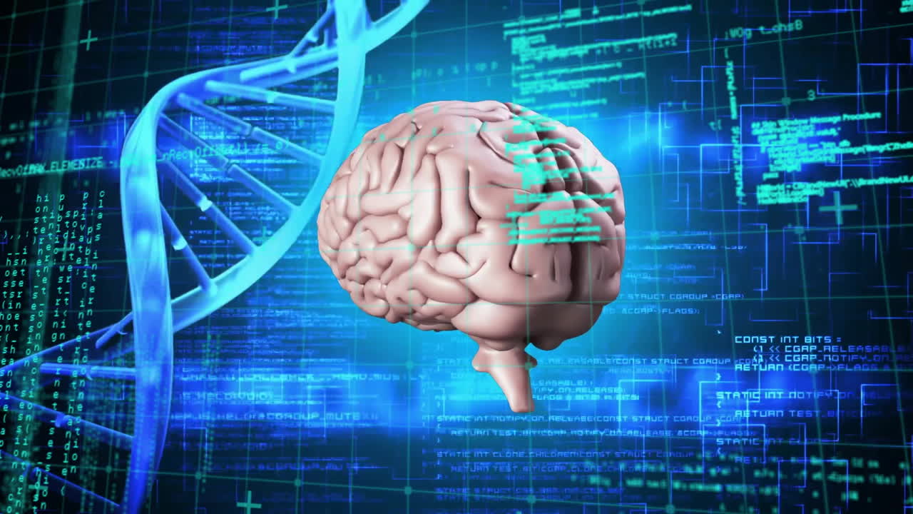 animación del cerebro digital y la cadena de adn sobre el procesamiento de datos en fondo negro