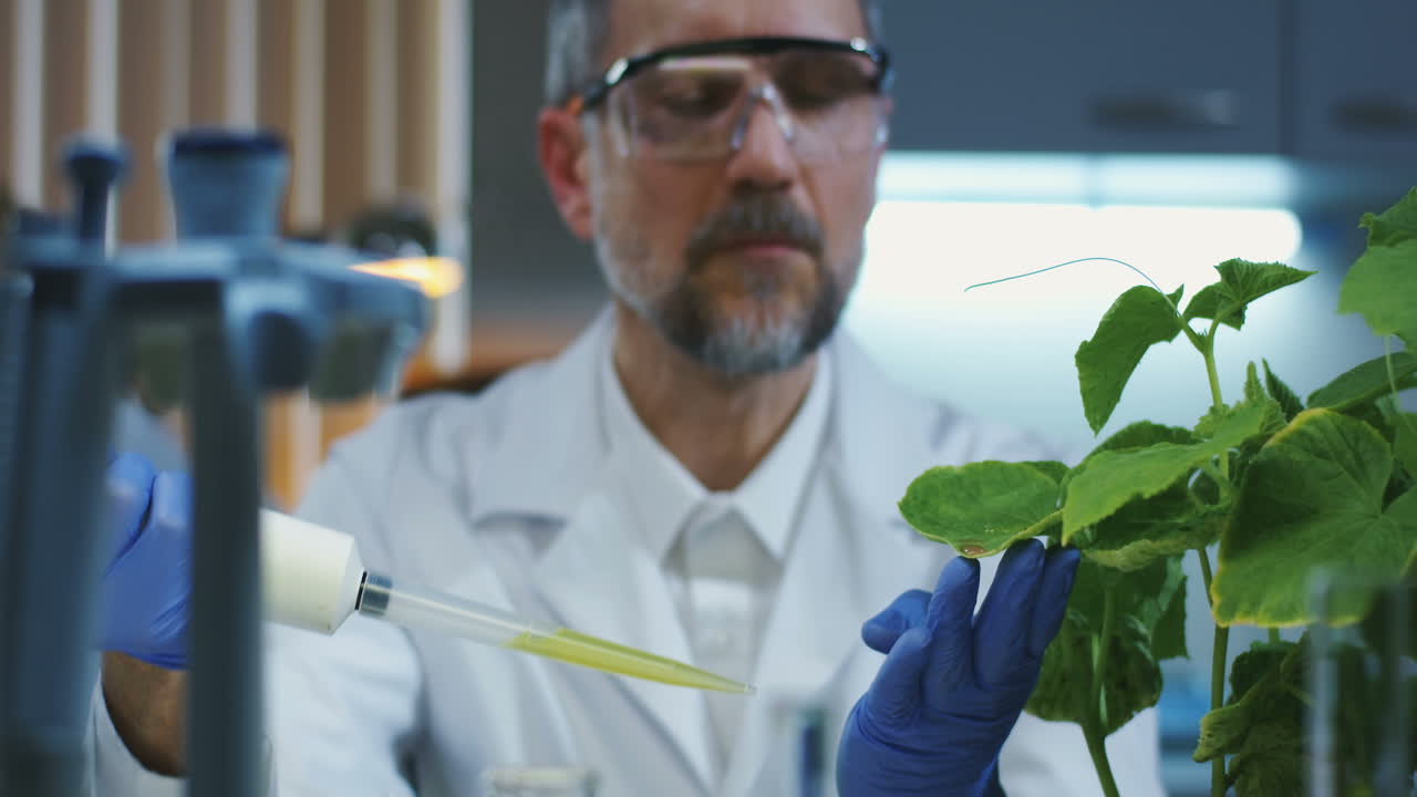 científico que lleva a cabo un experimento con plantas en un laboratorio