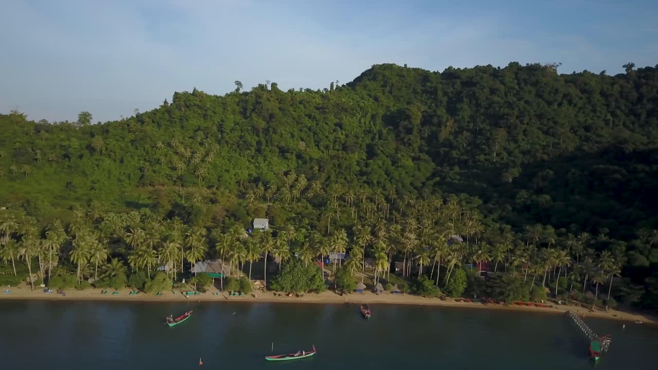 Tropical Island Beach Scenery with Palm Trees and Boats