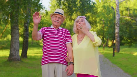 Pareja-De-Ancianos-Con-Estilo-Abuela-Abuelo-Agita-La-Palma-De-La-Mano-En-Gesto-De-Adiós,-Dice-Adiós-A-Alguien