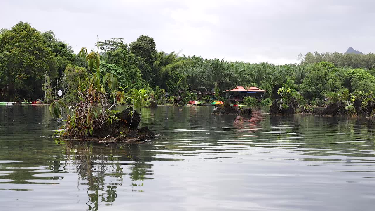 aguas tranquilas con exuberante vegetación y montañas