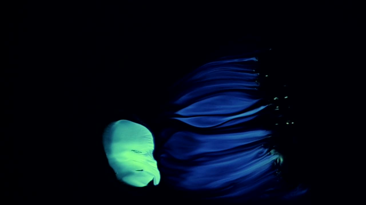 Blue purple wafts seem enamored with the yellow green shape alone in the darkness