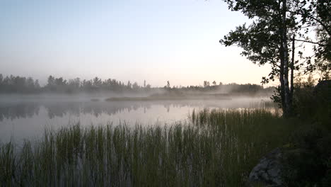 amazing landscape with fog on misty lake at sunrise