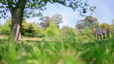 Low-angle-shot-of-a-family-skipping-alongside-each-other-through-grass