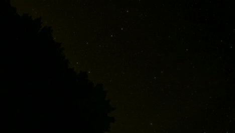 Timelapse-of-clouds-streaming-by-an-evergreen-in-a-brightening-sky