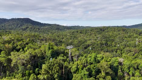 drone footage captures a vibrant rainforest with a cable car system under clear skies