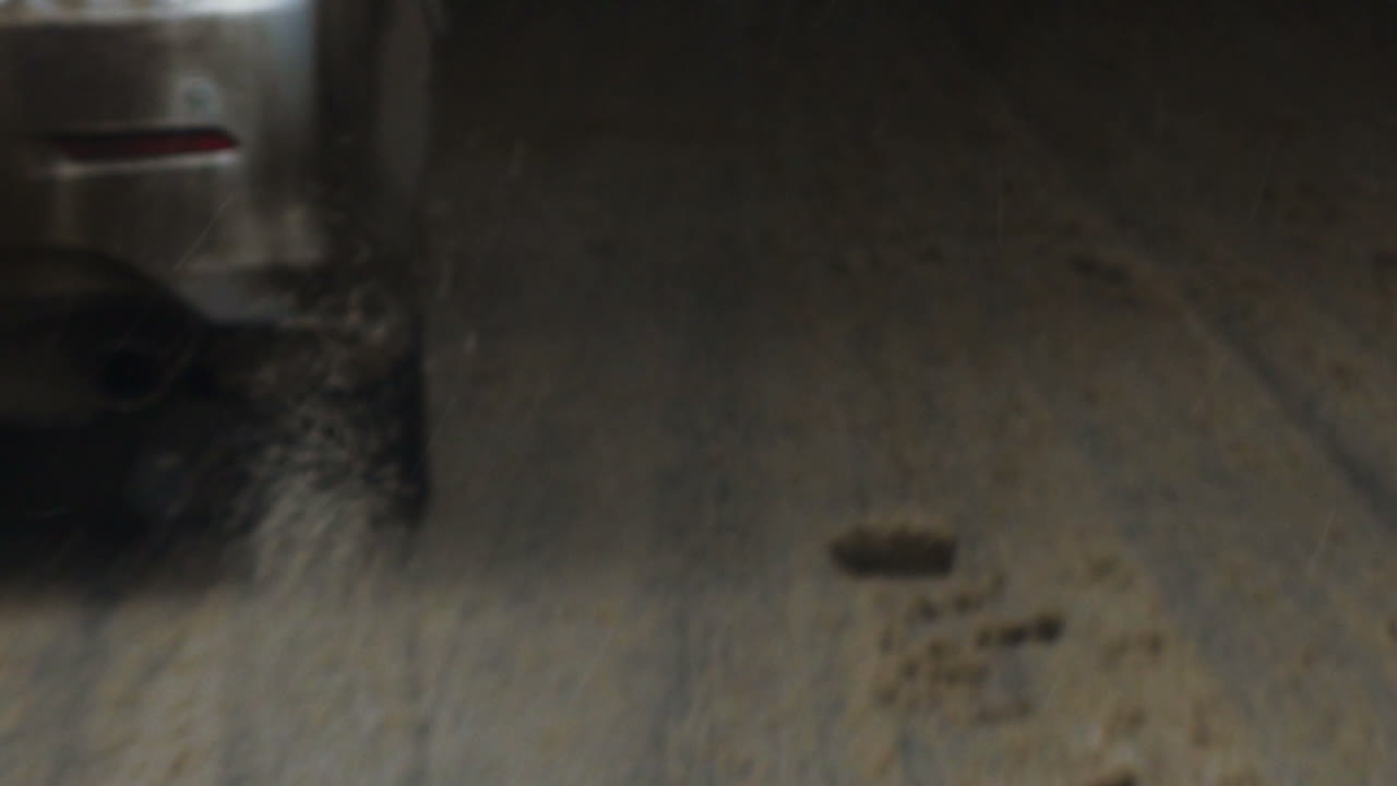 지루한 겨울 날 도시 교통