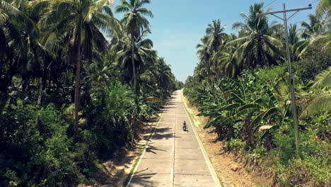 Take-a-ride-on-the-tropical-side