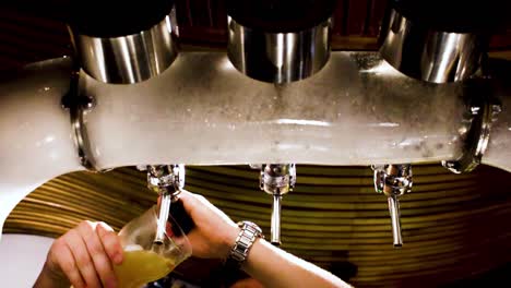 bartender pouring craft beer from the tap