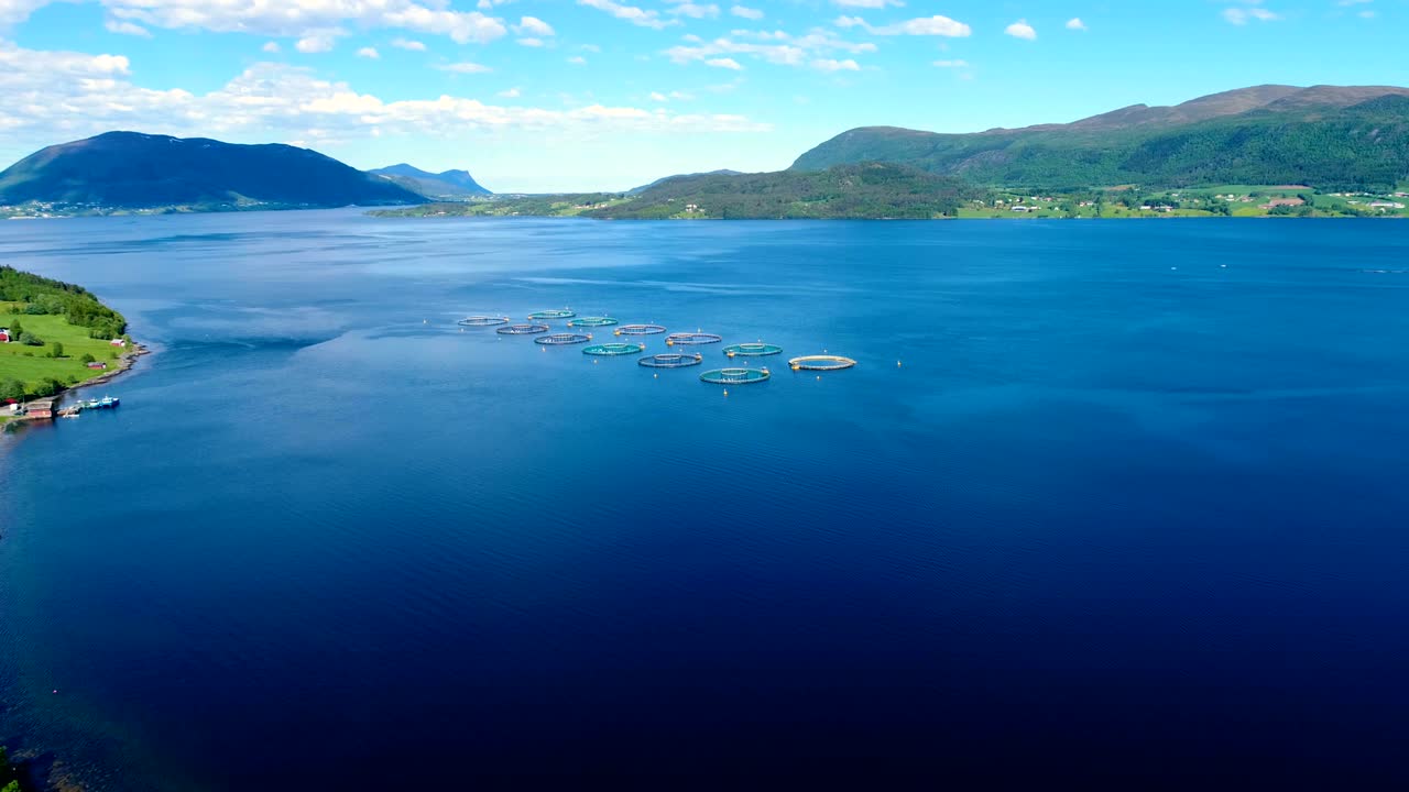 노르웨이에서 연어  ⁇ 시를 하는 공중 촬영