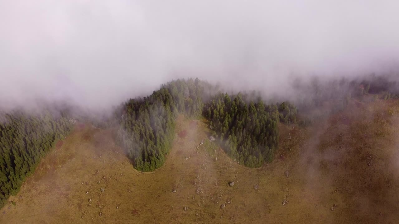 hermosa vista aérea del paisaje del valle de la montaña brumosa con el pueblo de un dron volando hacia adelante en la mañana brumosa en las montañas de los cárpatos, ucrania
