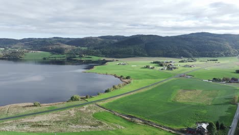 aerial view of green fields, meadow, mountain and lake in summer in norway