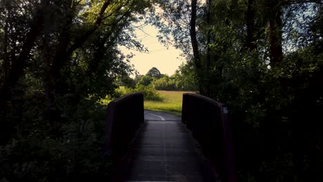 walking across a creek with a bridge