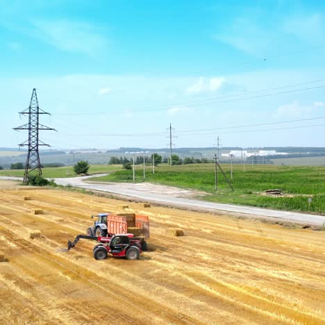 process of gathering crop by agricultural machinery. bale of wheats collect and loaded to transport to industry factory in the food culture