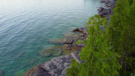 Drone-tilt-down-and-descends-between-tree-canopy-to-reveal-rocky-shoreline-as-last-light-dances-on-tree-tops