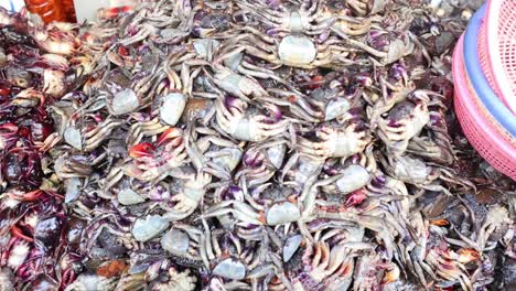 sorting and collecting crabs at a bustling market