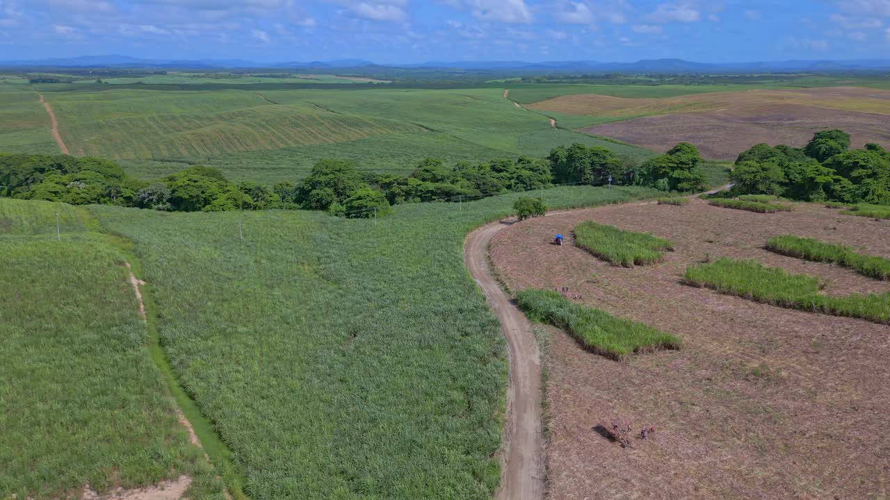 vista panorámica de una finca agrícola con uso de cosecha de caña para la fabricación de ron en san pedro de macoris, república dominicana