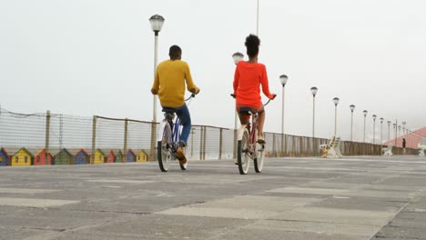 Rear-view-of-black-young-couple-riding-bicycle-on-promenade-at-beach-on-a-sunny-day-4k