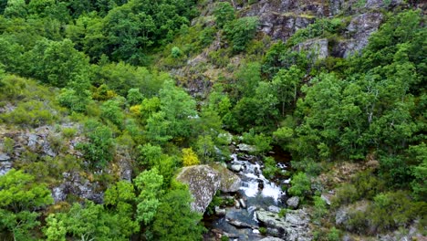 el río bibei fluye a través del paisaje montañoso de zamora, españa.