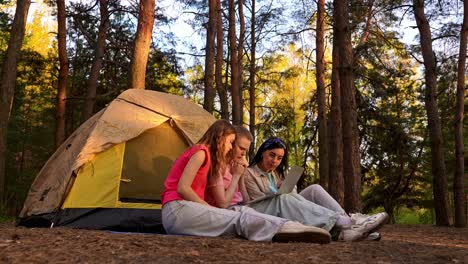 friends working together on a laptop in a forest camping trip