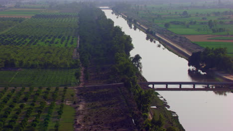 Ein-Kanal-Ist-Von-Bäumen-Und-Bauernhöfen-Bedeckt,-Ein-Großer-Kanal-In-Den-Grünen-Bauernhöfen,-Eine-Brücke-Auf-Dem-Kanal,-Luftaufnahme-Gegen-Das-Sonnenlicht